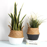 Seagrass Baskets